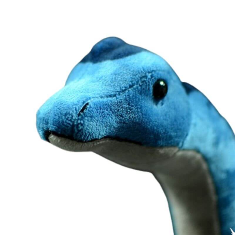 Tiny Heart – Peluche Brachiosaure Bleu, 35 Cm, Doux Et Réaliste, Jouet éducatif Pour Enfants