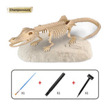 Kit d’Archéologie Dinosaures pour Enfants