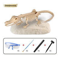 Kit d’Archéologie Dinosaures pour Enfants