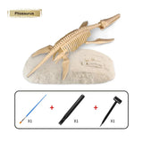 Kit d’Archéologie Dinosaures pour Enfants