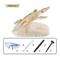 Kit d’Archéologie Dinosaures pour Enfants