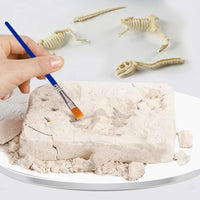 Kit d’Archéologie Dinosaures pour Enfants