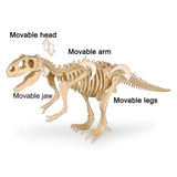 Kit d’Archéologie Dinosaures pour Enfants