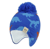 Cagoule Dinosaure <br>Enfant</br> Bleu