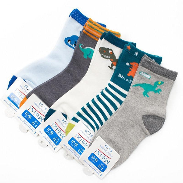 Lot Chaussette Dinosaure <br>5 Paires</br>