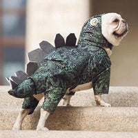 Costume Dinosaure Chien