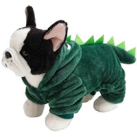 Déguisement Dinosaure Chien