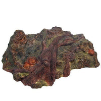 Figurine Dinosaure Fossile