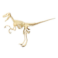 Figurine Squelette Dinosaure